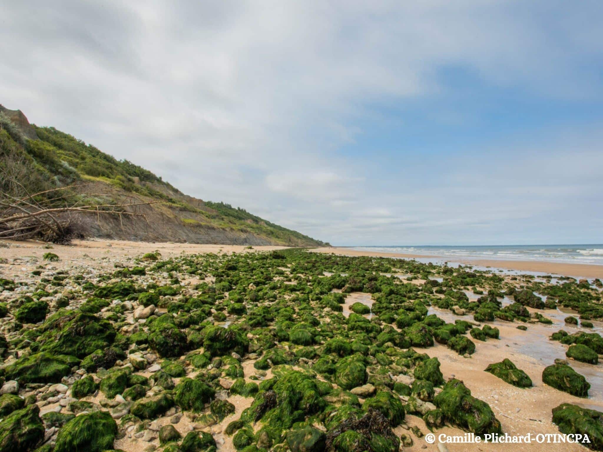 falaises-des-vaches-noires-camping-de-la-plage-houlgate